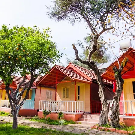 Toll Garden ホテル シダ