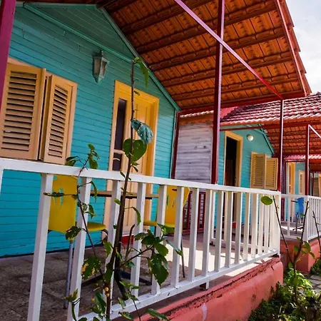 Toll Garden 3* シダ