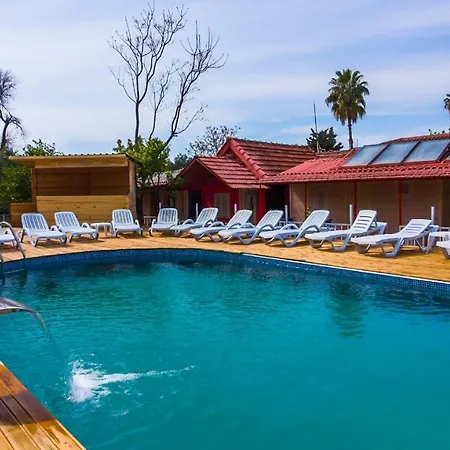 Toll Garden 3* シダ