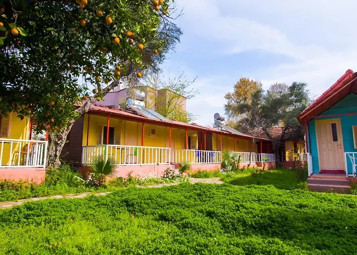 Toll Garden מלון 3*