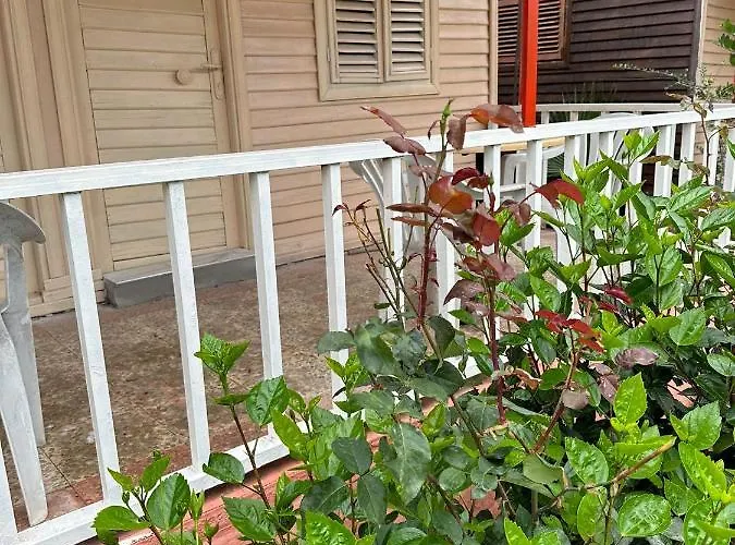 Toll Garden סייד