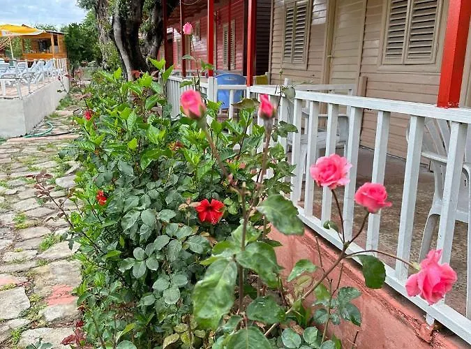 מלון Toll Garden סייד