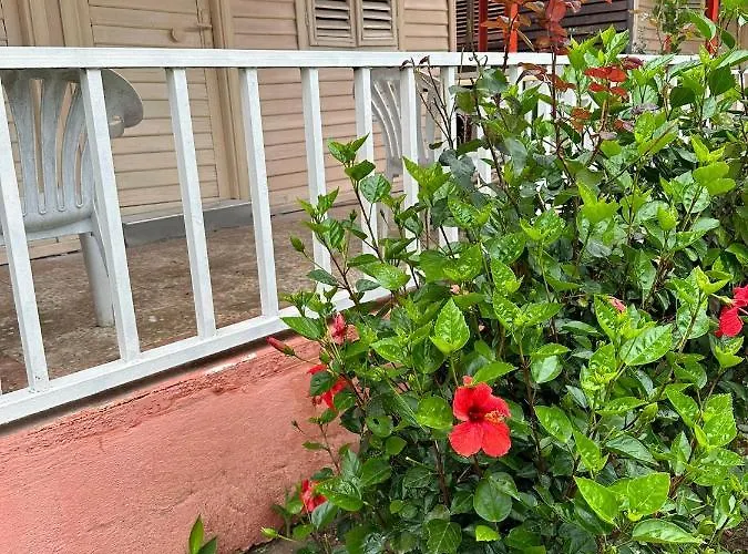 Toll Garden 3* סייד